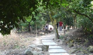 广州火炉山森林公园 广州火炉山森林公园