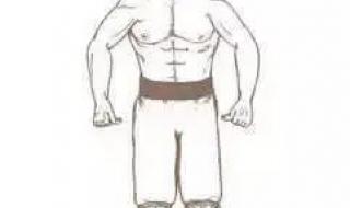 掌心三寸是人间陈明