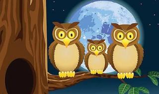 一个人生活粤语 一个人生活粤语