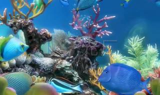 3d动态屏保 3d动态屏保