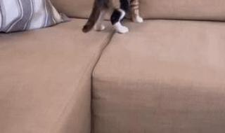 消失的她毁三观 消失的她毁三观