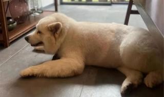 2024年1月新规来了 2024年1月新规来了