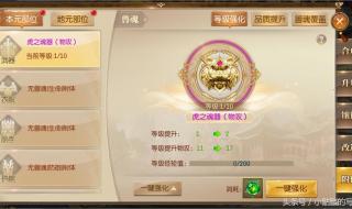 天龙八部兽魂附体 天龙八部兽魂附体