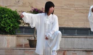 扬式太极拳 扬式太极拳