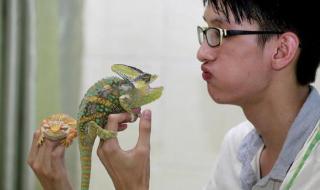 蟒蛇的电影 蟒蛇的电影