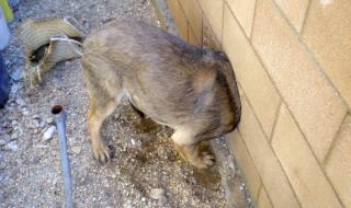 无奈的图片 无奈的图片