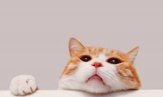 明明什么都没做就已经 明明什么都没做就已经