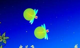 虫儿飞歌词为什么恐怖 虫儿飞歌词为什么恐怖