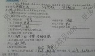 八年级上册寒假作业 八年级上册寒假作业