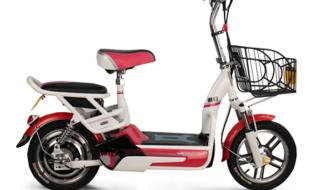 新日电动车的价格