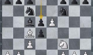 国际象棋意大利开局 国际象棋意大利开局