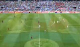 2006世界杯彩绘葡萄牙