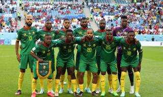 喀麦隆进过几次世界杯