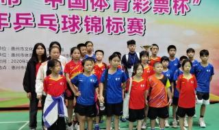 乒乓球锦标赛几年一次